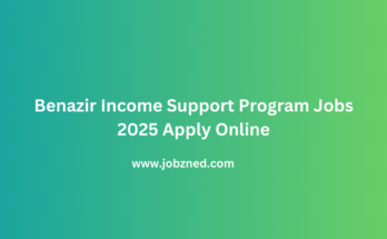 Benazir Income Support Program Jobs 2025 Apply Online