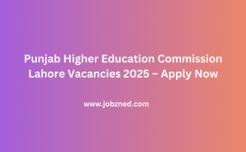 Punjab Higher Education Commission Lahore Vacancies 2025 – Apply Now