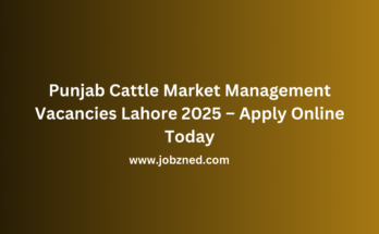 Punjab Cattle Market Management Vacancies Lahore 2025 – Apply Online Today