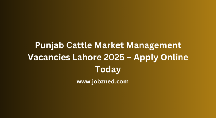 Punjab Cattle Market Management Vacancies Lahore 2025 – Apply Online Today