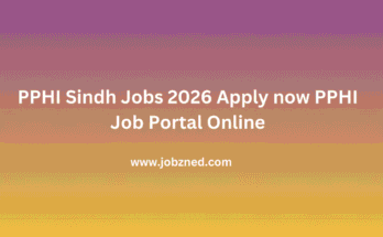 PPHI Sindh Jobs 2026 Apply now PPHI Job Portal Online